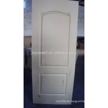 Piel de la puerta exterior de alta calidad / piel de la puerta moldeada / piel de la puerta de la chapa
